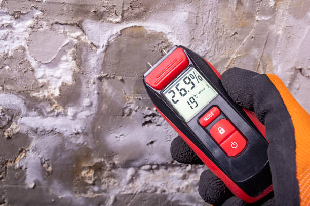 Best Attic Mold Removal  in Rossmoyne, OH