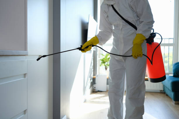 Best Local Mold Removal Service  in Rossmoyne, OH