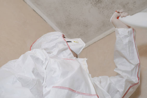 Best Local Mold Removal Service  in Rossmoyne, OH