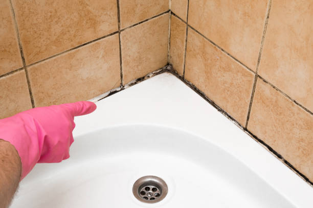 Best Mold Cleaning Services  in Rossmoyne, OH